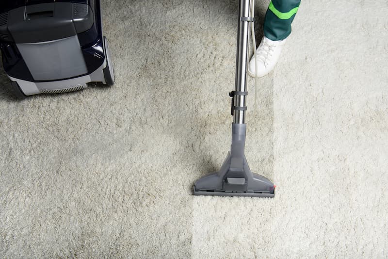 Professional Carpet Cleaning Tips For Charlotte Homes & Businesses